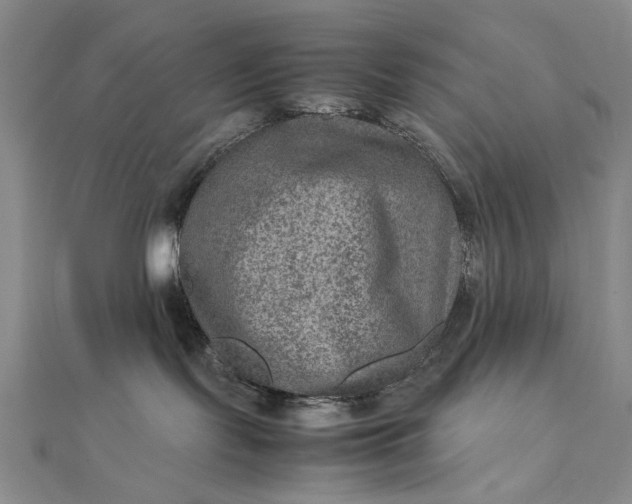 X0000111900095200908101149