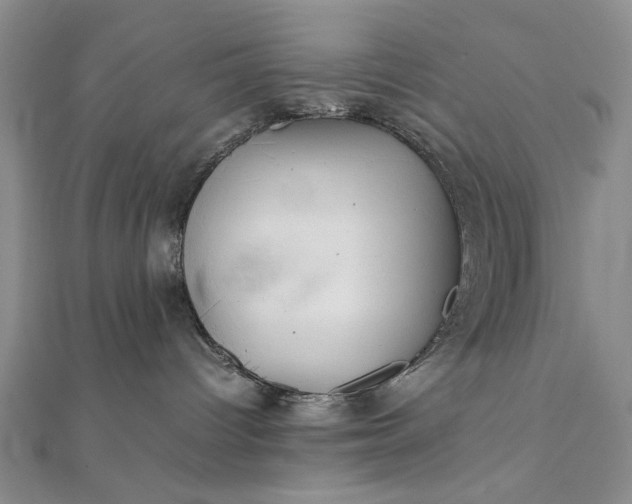 X0000111900096200908101149