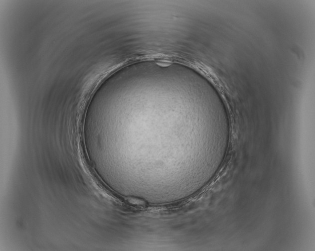 X0000111900097200908101148