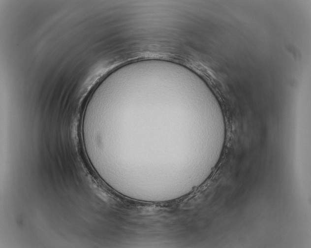 X0000111900098200908101148