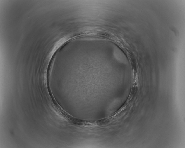 X0000111900099200908101148