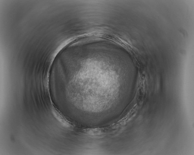 X0000111900100200908101148