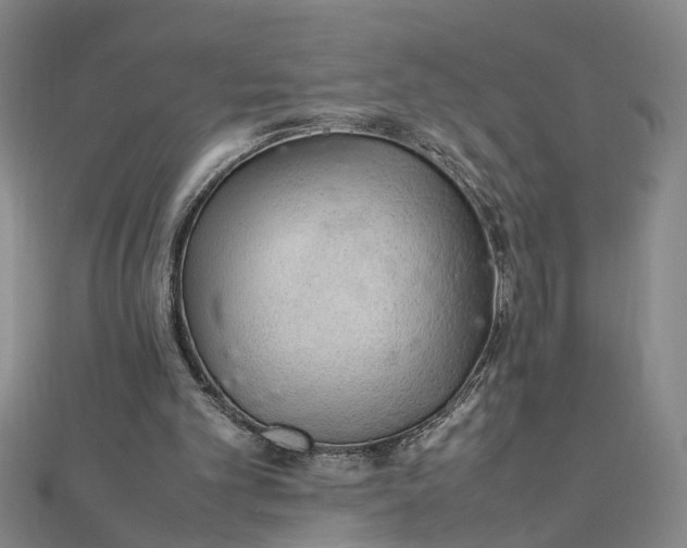 X0000111900101200908101148