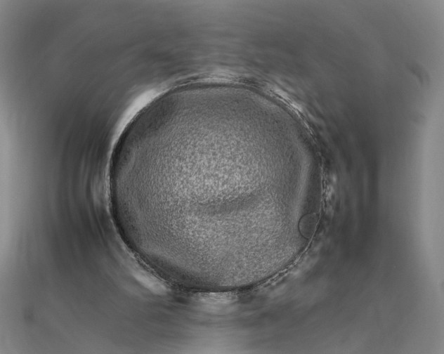 X0000111900102200908101148