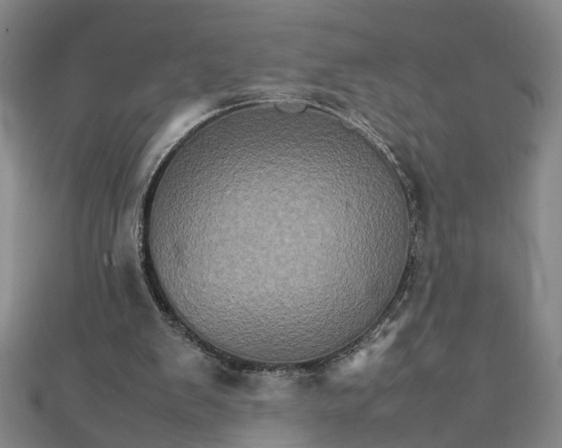 X0000111900103200908101148