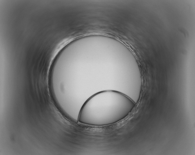 X0000111900104200908101148