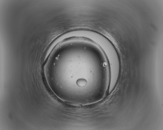 X0000111900105200908101148