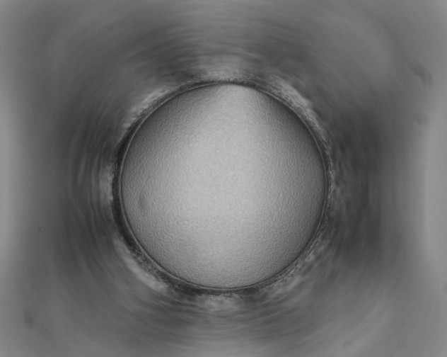 X0000111900106200908101148