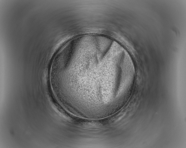 X0000111900107200908101148