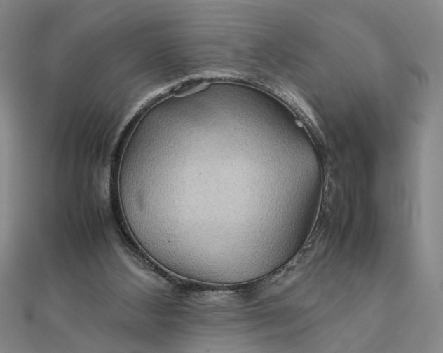 X0000111900108200908101148