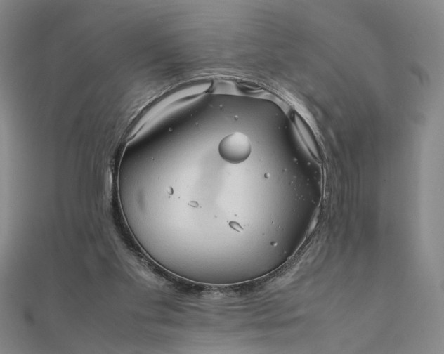 X0000111900109200908101148