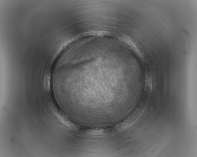 X0000111900110200908101148