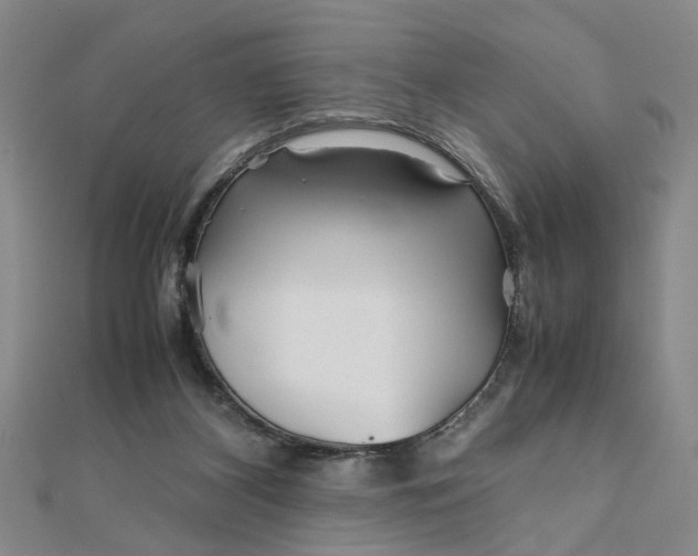 X0000111900116200908101148