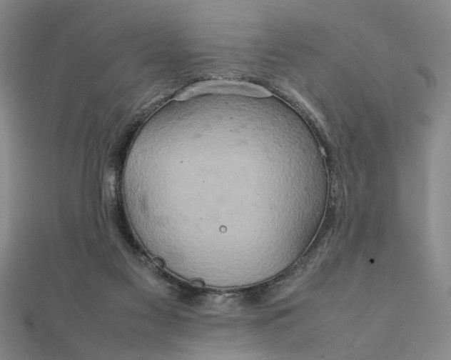 X0000111900117200908101148