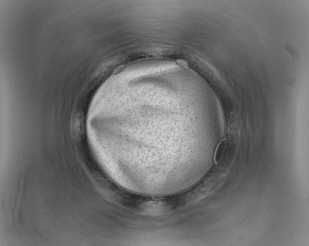 X0000111900119200908101148