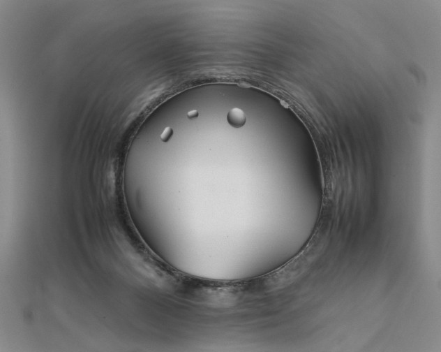 X0000111900120200908101148