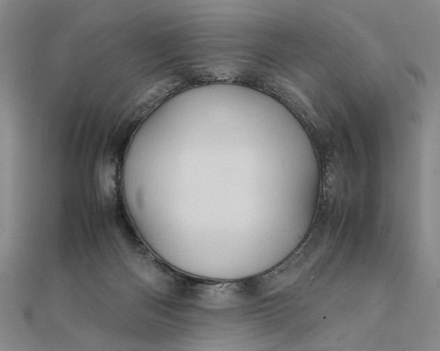 X0000111900122200908101148