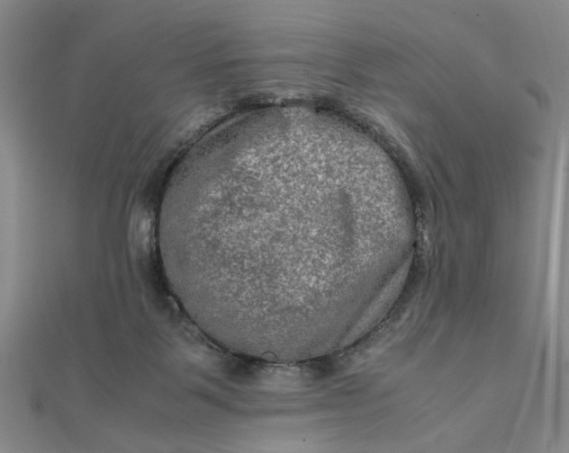 X0000111900123200908101148