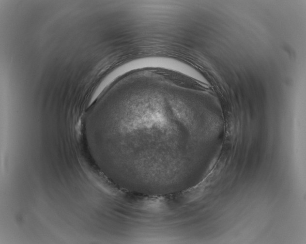 X0000111900124200908101148