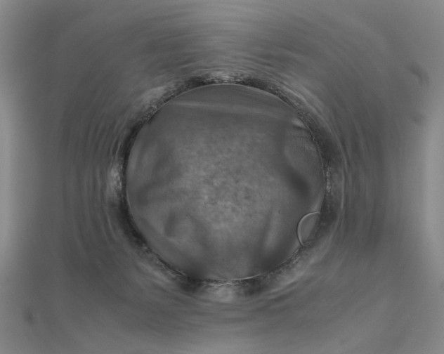 X0000111900127200908101148