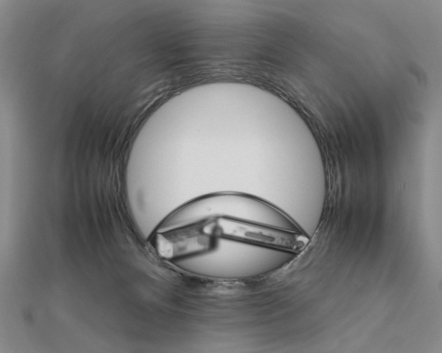 X0000111900128200908101148