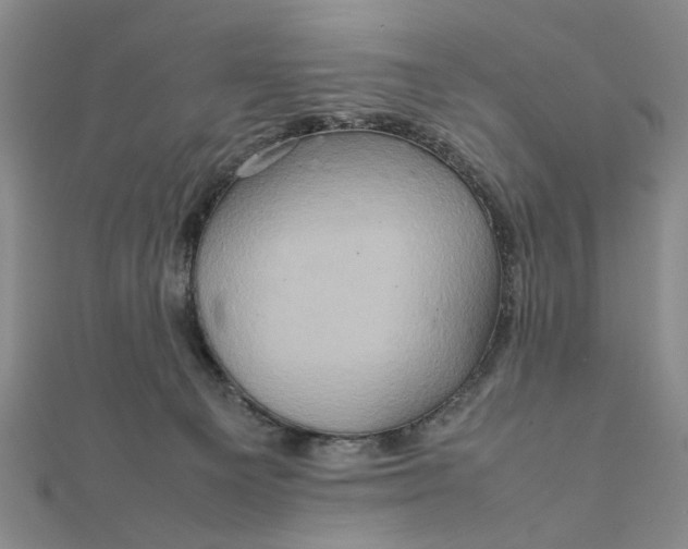 X0000111900129200908101148