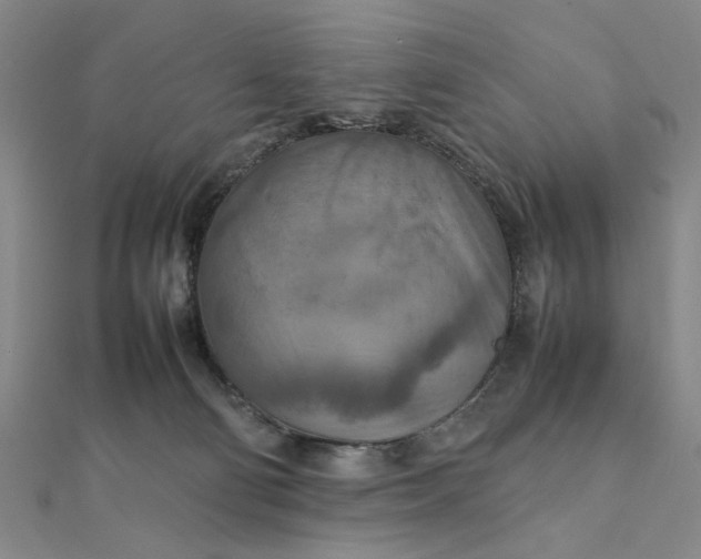 X0000111900130200908101148