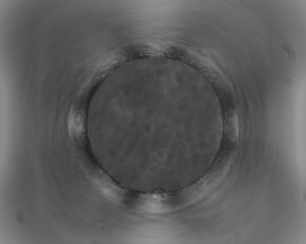 X0000111900131200908101148