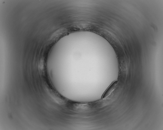 X0000111900132200908101148