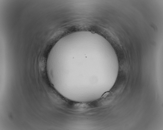 X0000111900133200908101148