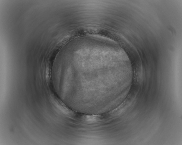 X0000111900134200908101148