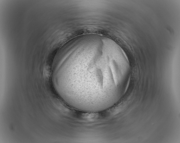 X0000111900135200908101148