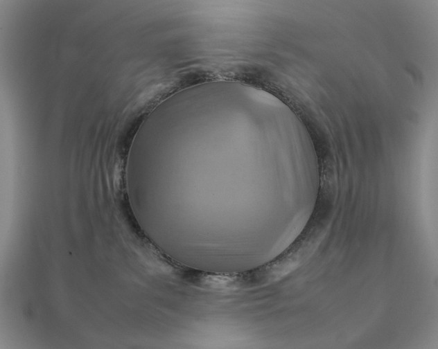 X0000111900139200908101148