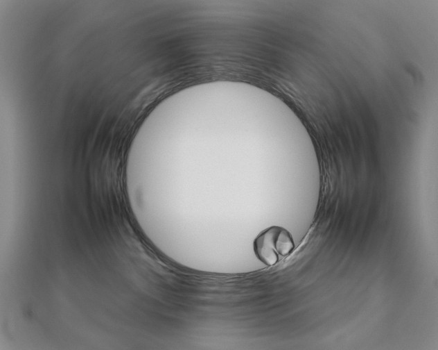 X0000111900140200908101148