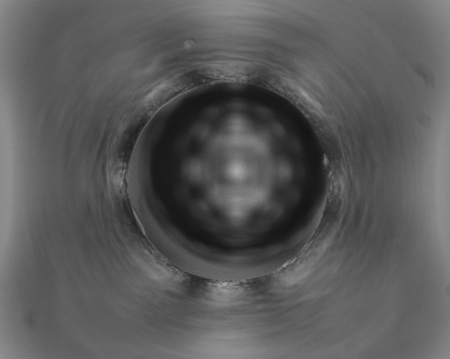 X0000111900141200908101148