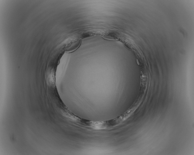 X0000111900143200908101147