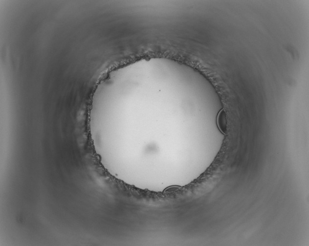 X0000111900144200908101147