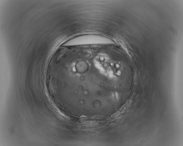 X0000111900145200908101147