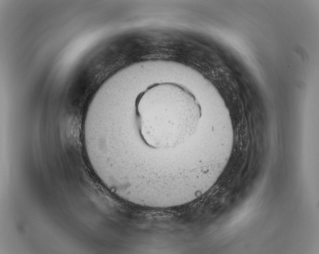 X0000111900146200908101147