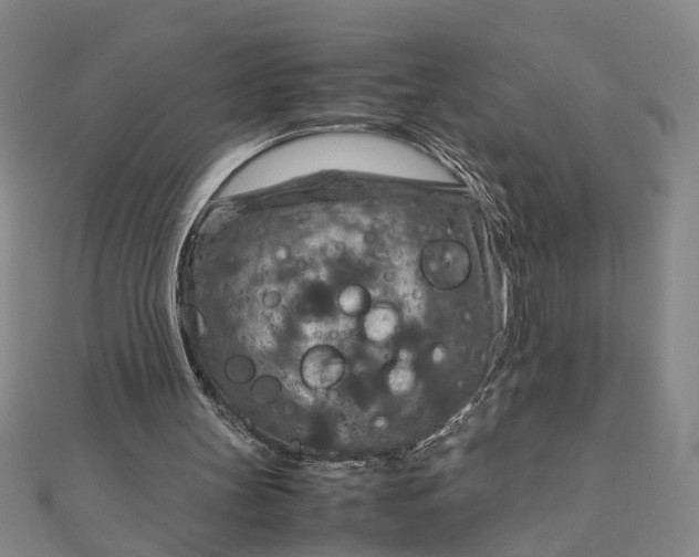 X0000111900147200908101147