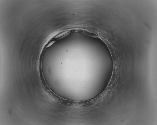 X0000111900148200908101147