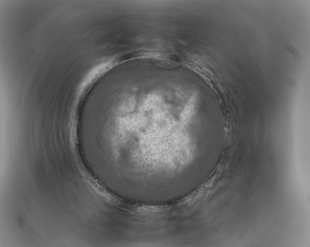 X0000111900149200908101147