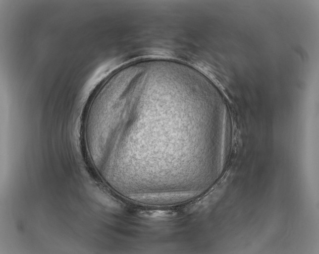 X0000111900151200908101147