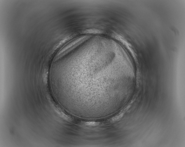 X0000111900153200908101147