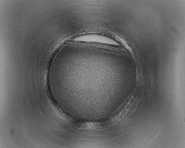 X0000111900154200908101147