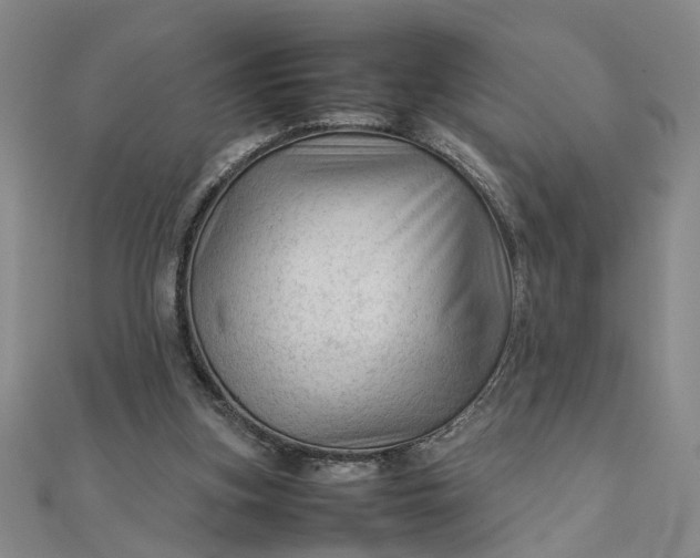 X0000111900155200908101147