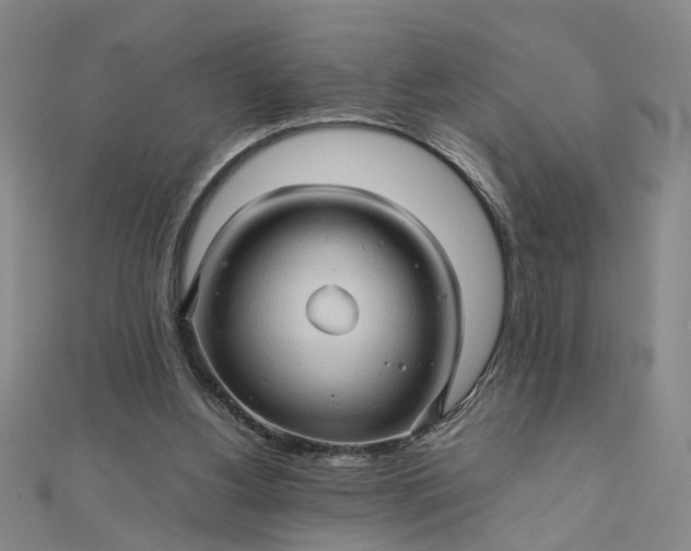 X0000111900156200908101147