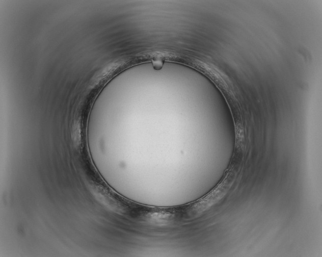 X0000111900158200908101147