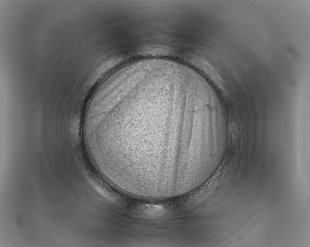 X0000111900159200908101147