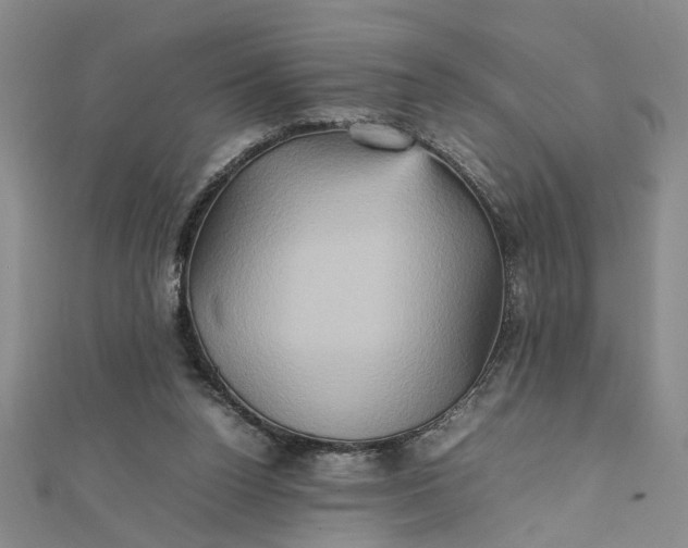 X0000111900160200908101147